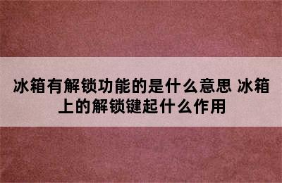 冰箱有解锁功能的是什么意思 冰箱上的解锁键起什么作用